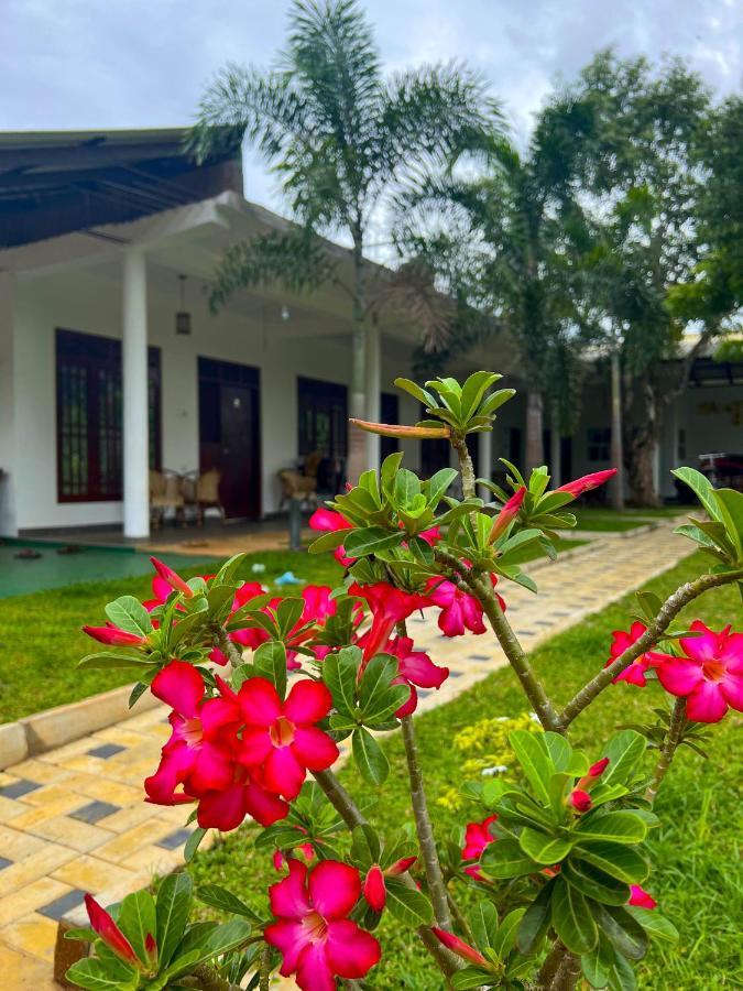 Sigiriya Green Garden Homestay Extérieur photo